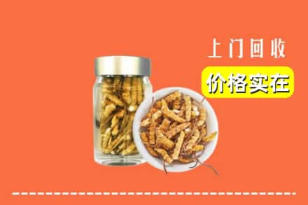 收购资讯:百色平果市回收散虫草