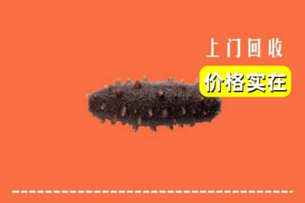 收购资讯:百色平果市回收海参