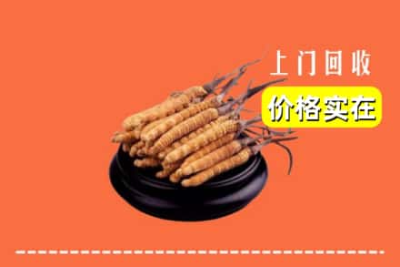 百色平果市回收冬虫夏草