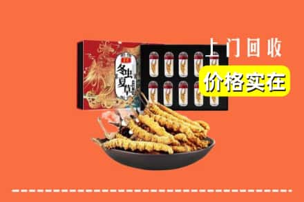 百色平果市回收虫草